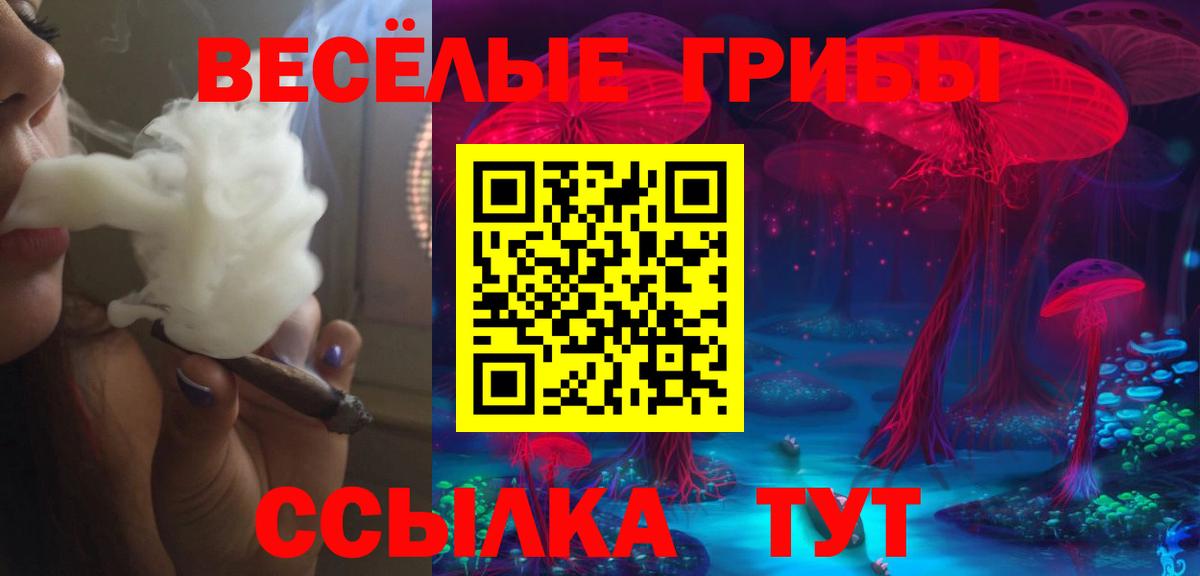 Галлюциногенные грибы Psilocybine cubensis  Вход с VPN  Братск  как найти закладки  Псилоцибиновые грибы Magic Shrooms 